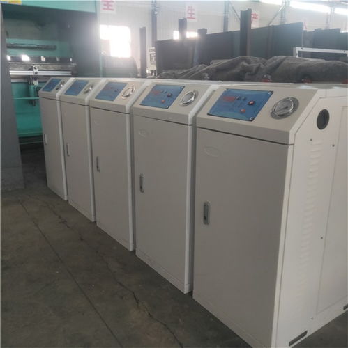 電蒸汽發生器 隆鑫熱能設備引領小型高效蒸汽發生器制造