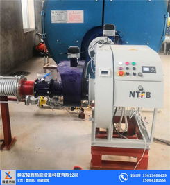 低氮燃燒機(jī)與隆鑫熱能設(shè)備 高效環(huán)保的機(jī)電設(shè)備解決方案