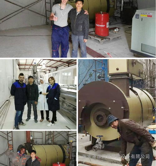 臥式智能化免檢驗(yàn)燃?xì)庹羝仩t 價(jià)格與選購(gòu)指南